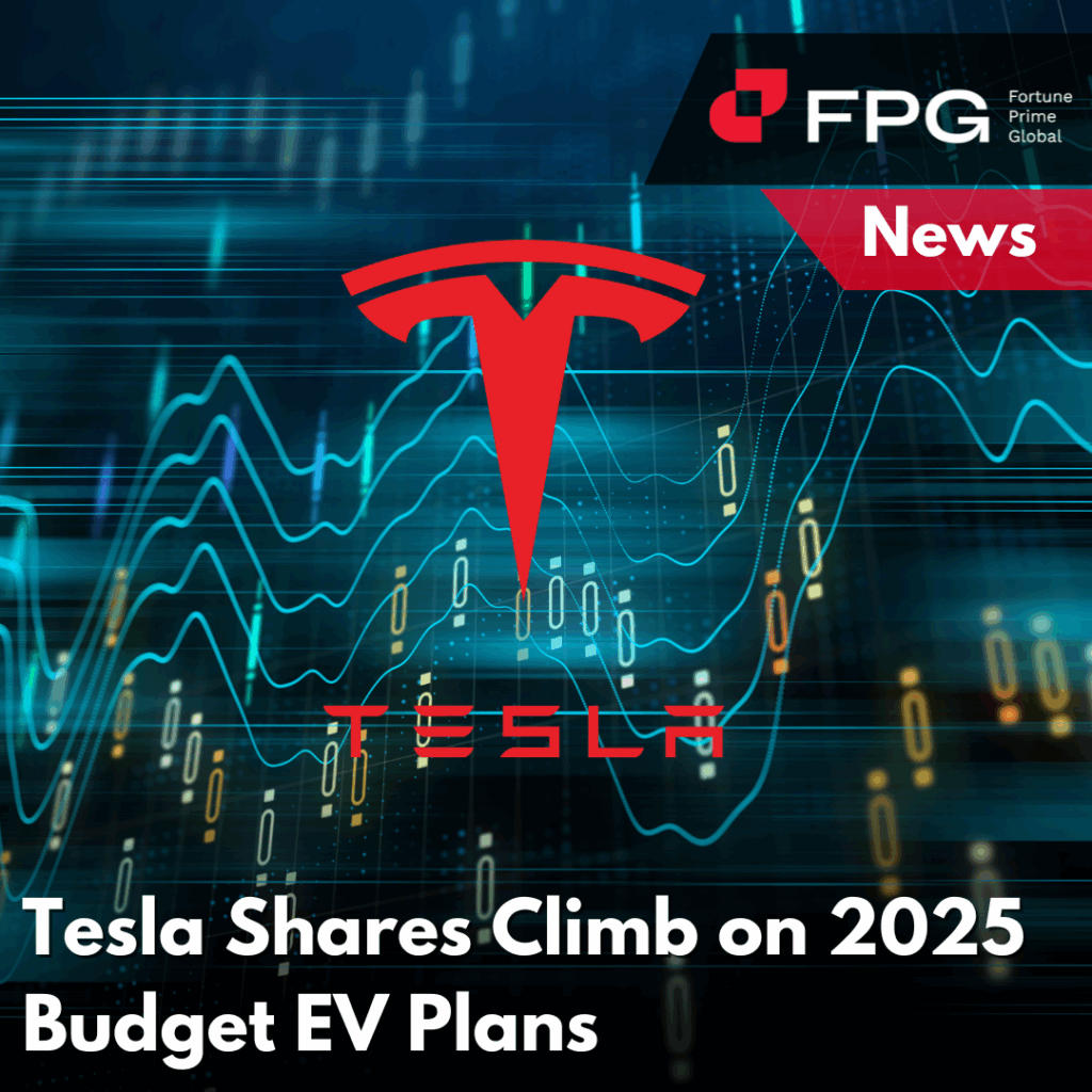 Tesla Shares Climb on 2025 Budget EV Plans